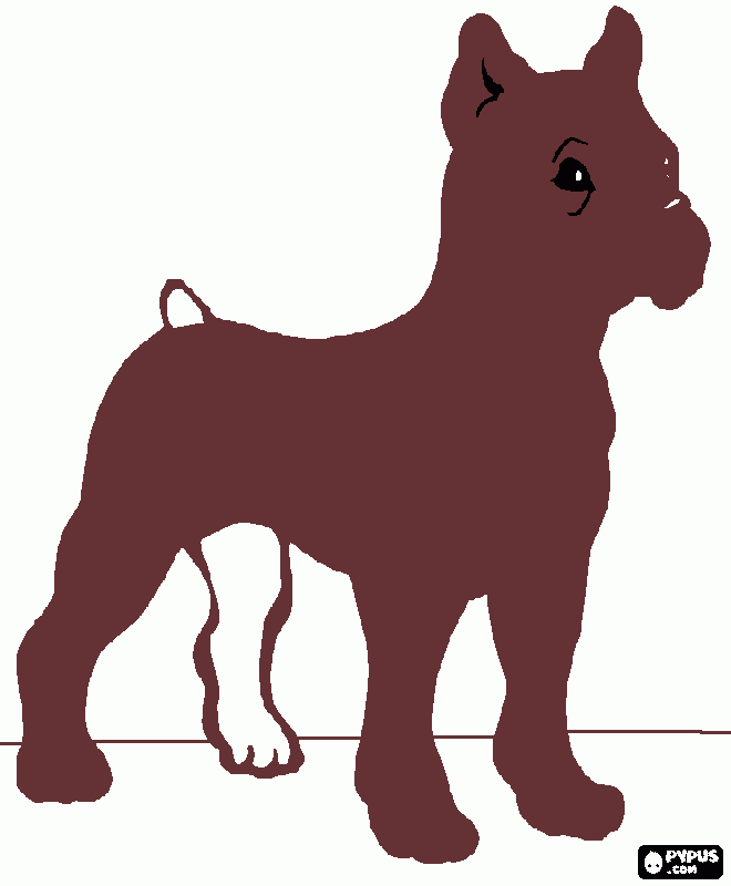 Omalovánka Ondra - PES