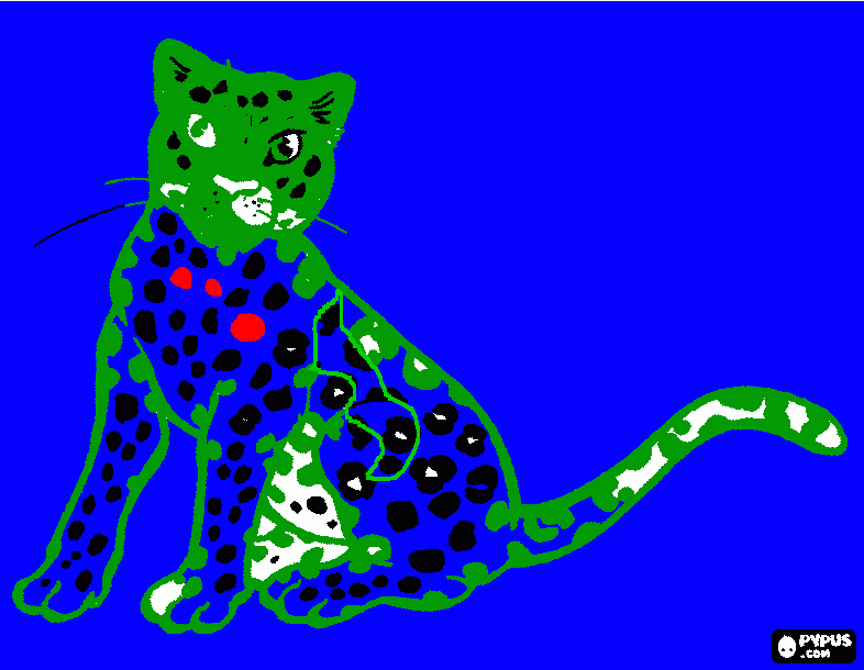 Omalovánka Oskarkuv gepard