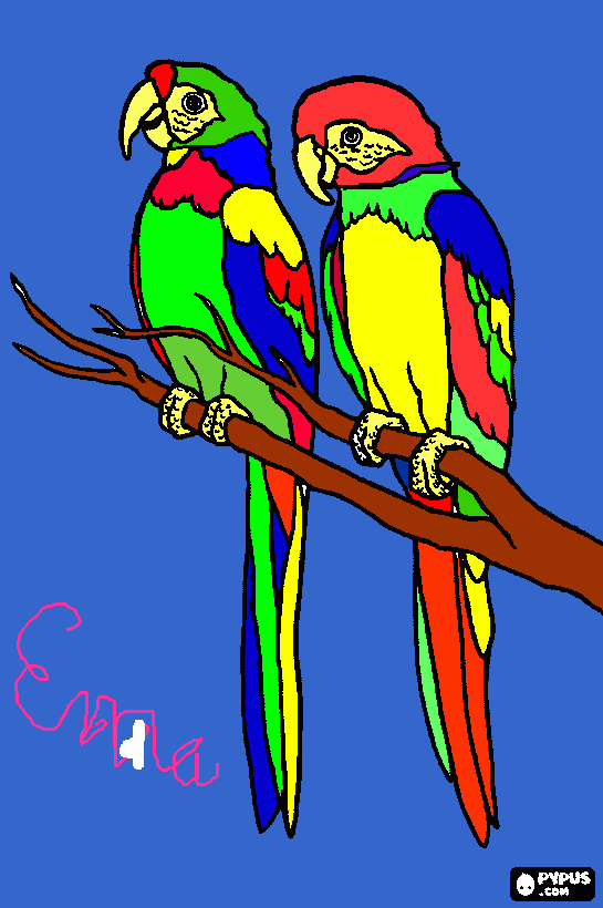 Omalovánka papagaje