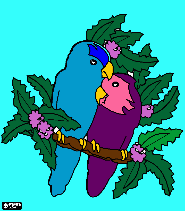 Omalovánka papoušci