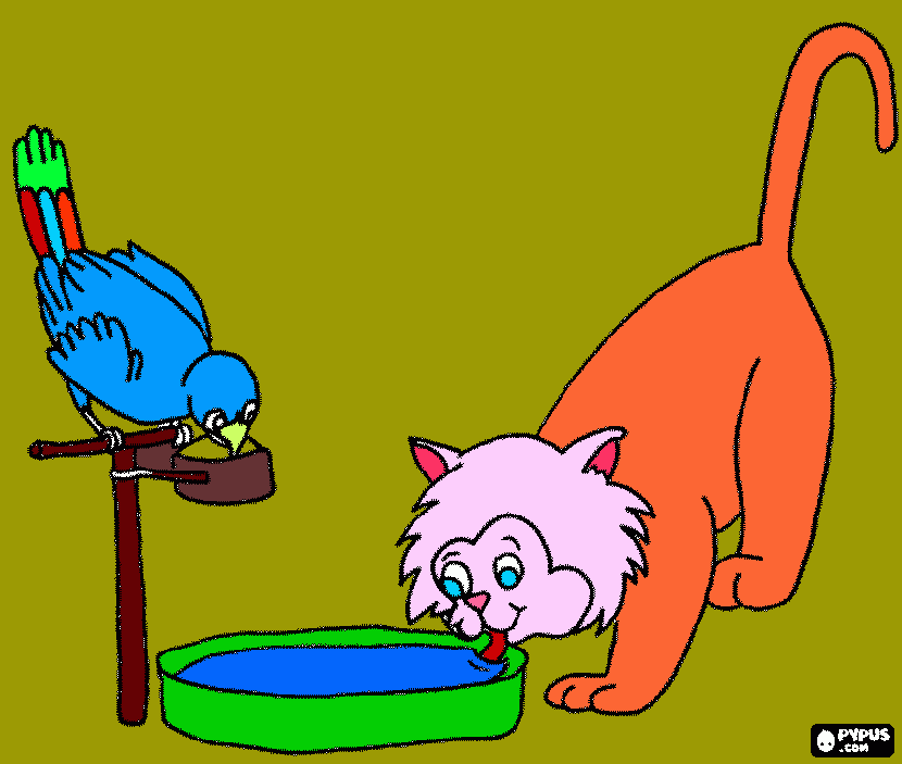 Omalovánka papoušek a kočička