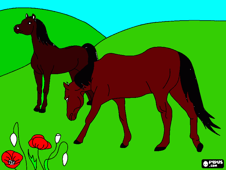 Omalovánka pasoucí se koně