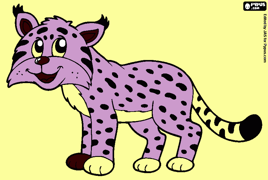 Omalovánka pepa Dnovity