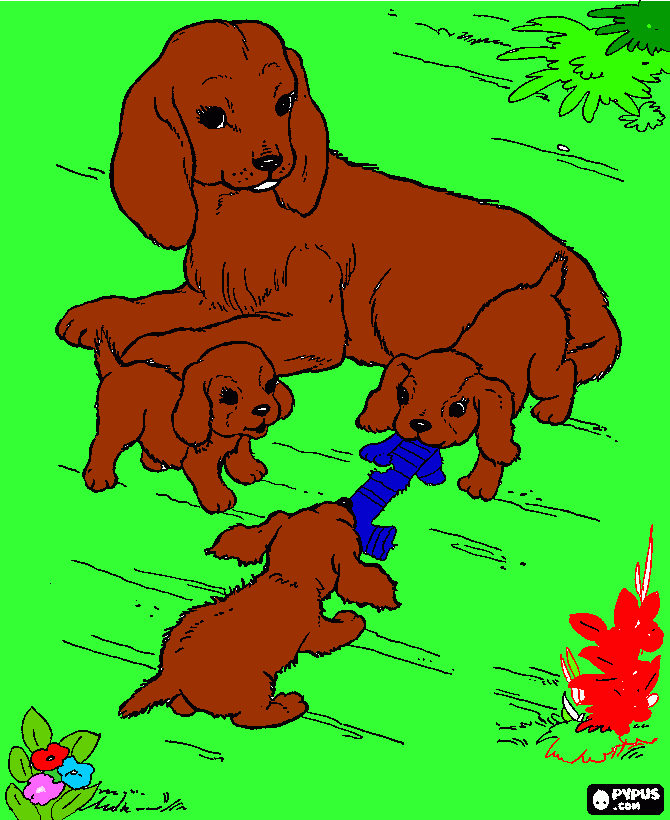 Omalovánka pes a stenata