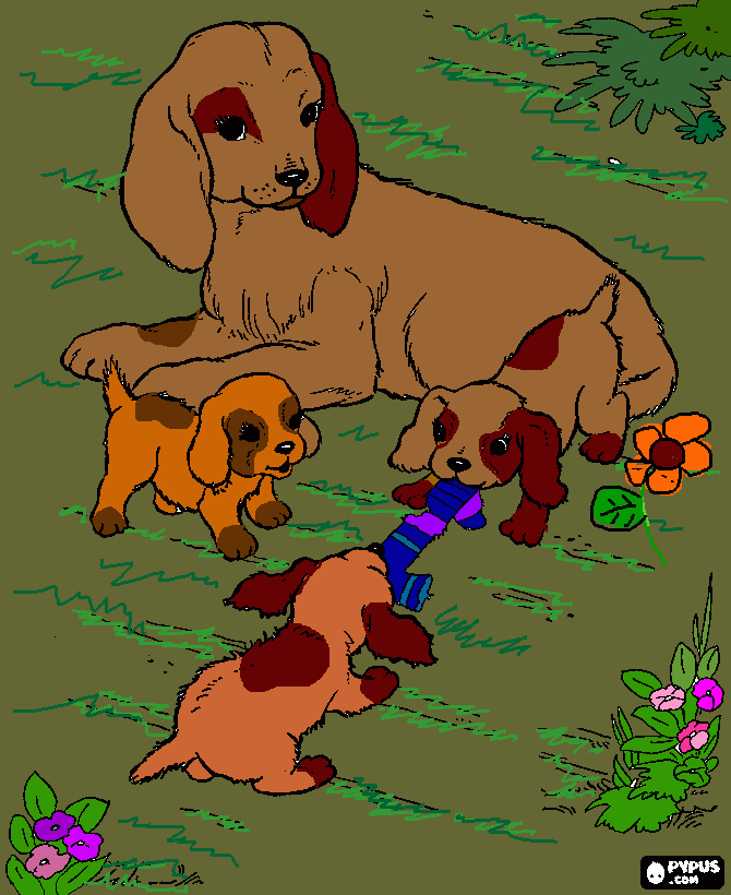 Omalovánka pes se štěnaty