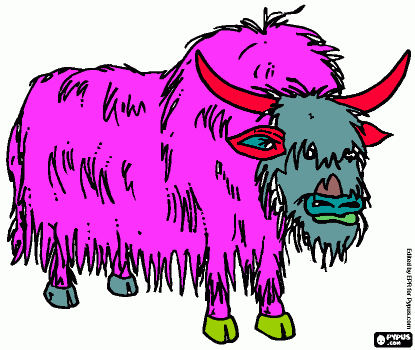 Omalovánka pižmoň