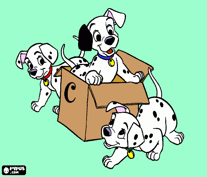 Omalovánka Pozvánka na oslavu narozenin