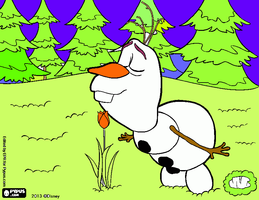 Omalovánka pre Sarku