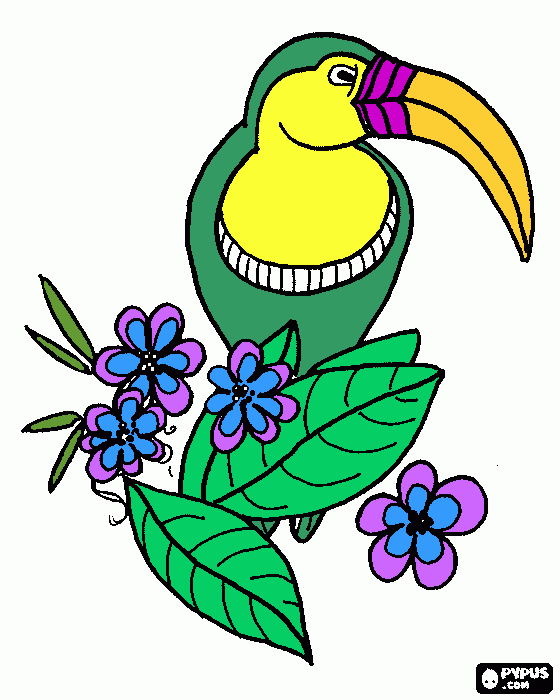 Omalovánka ptacekjarabacek