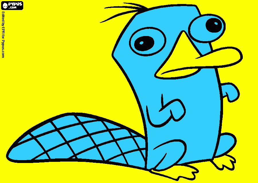 Omalovánka ptakopysk Pery obyčejný