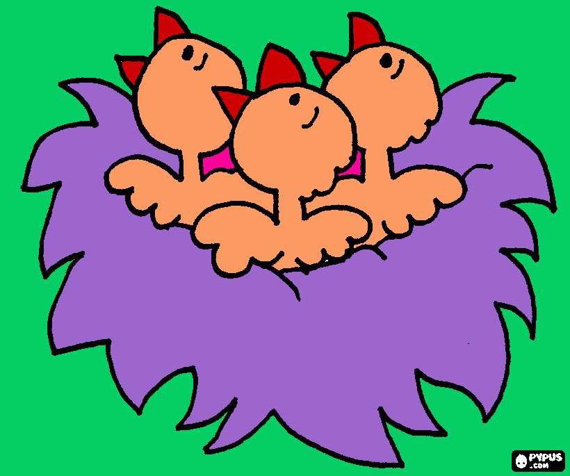 Omalovánka Ptačí děťátka 