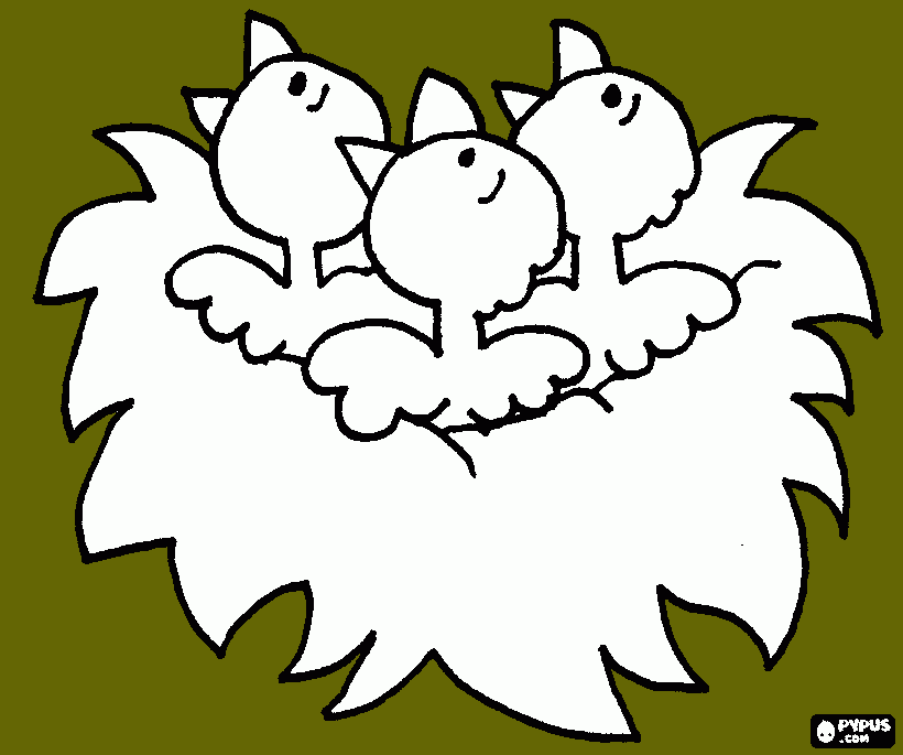 Omalovánka Ptáčata v hnízdě