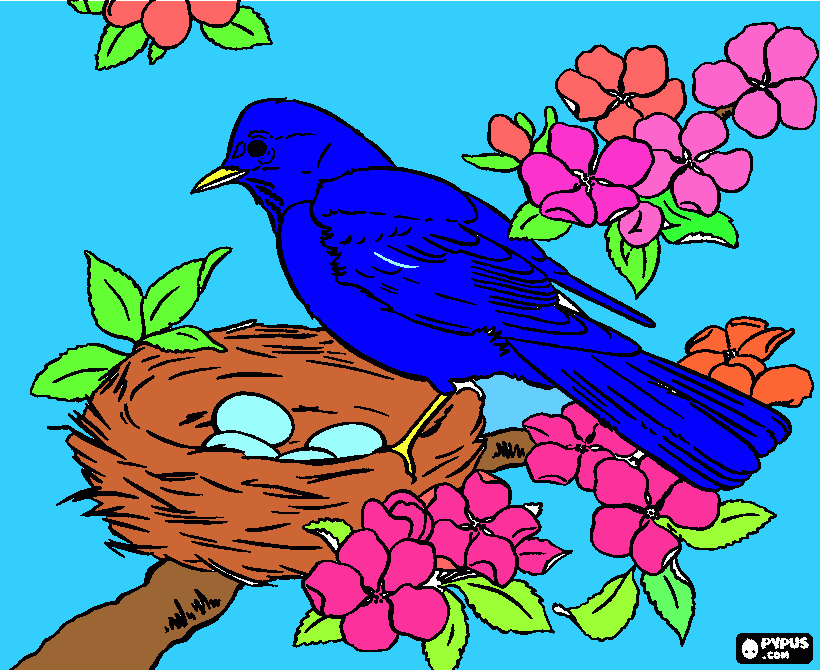 Omalovánka ptáček maruška