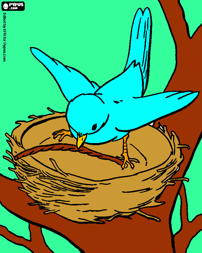 Omalovánka Ptáčíček