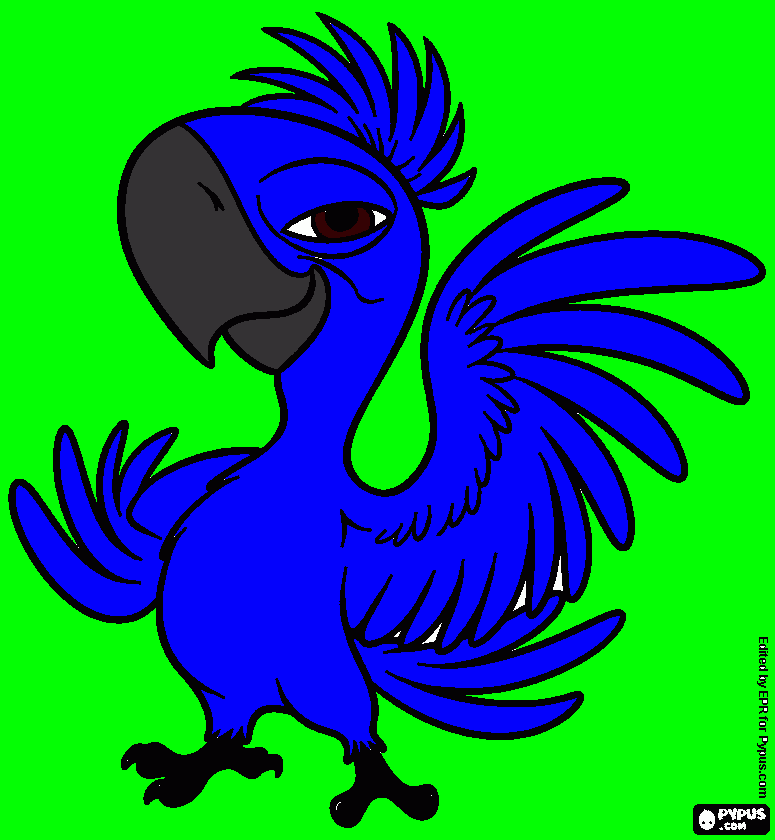 Omalovánka Raubíř