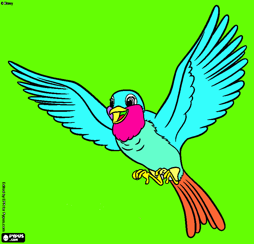 Omalovánka Robin ptáček