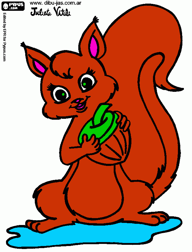 Omalovánka rostomila veverka