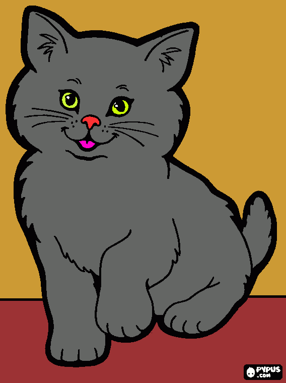 Omalovánka roztomilé kotě
