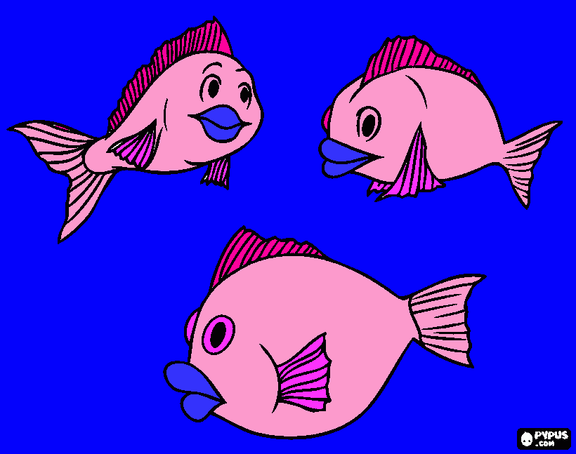 Omalovánka rybičky ploutvičky