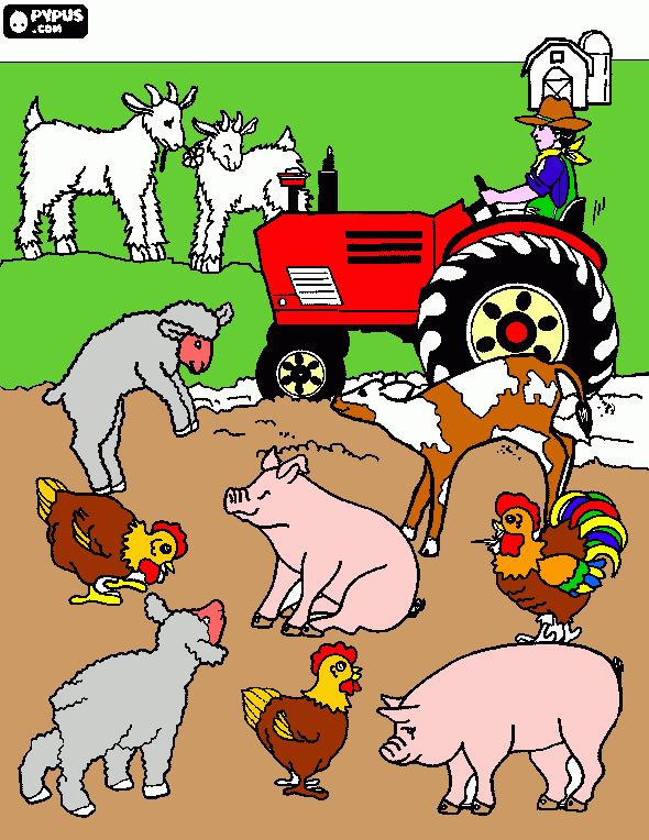 Omalovánka ráj na zemi