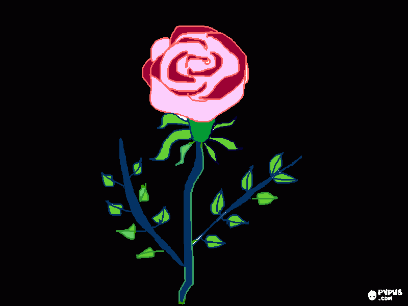 Omalovánka růže na černém