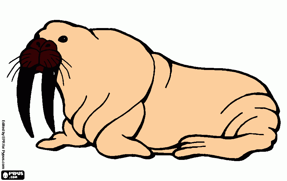 Omalovánka seš taková velká skvrna