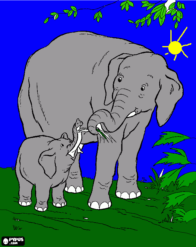 Omalovánka Sloni Petulka