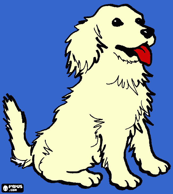 Omalovánka slovenský čuvač namalovaný online 