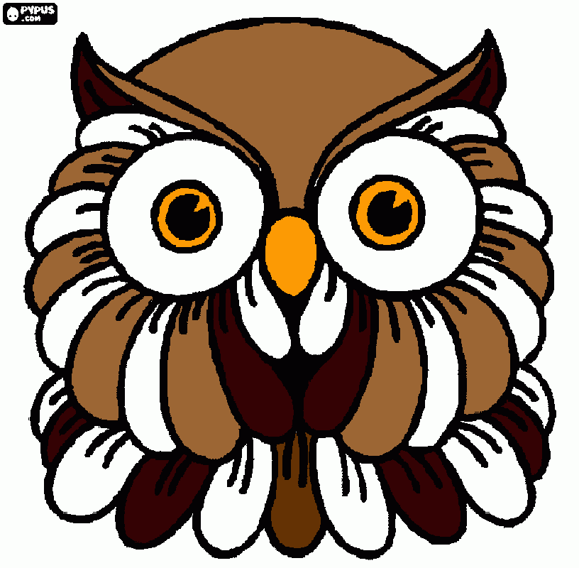 Omalovánka sovička