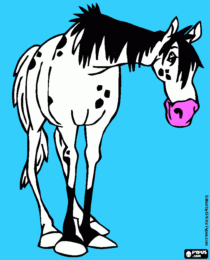 Omalovánka Strýček Alfréd Kůň od Pipi