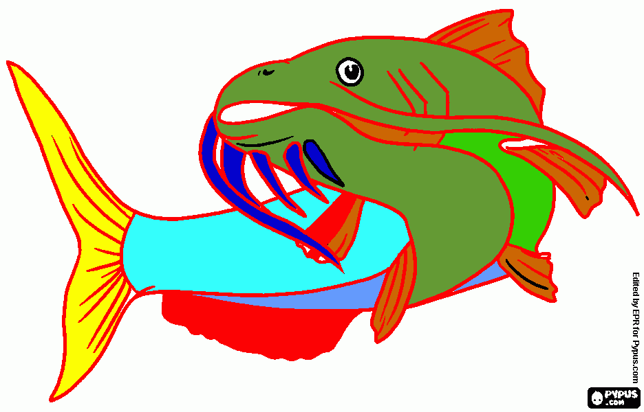 Omalovánka sumec velkí