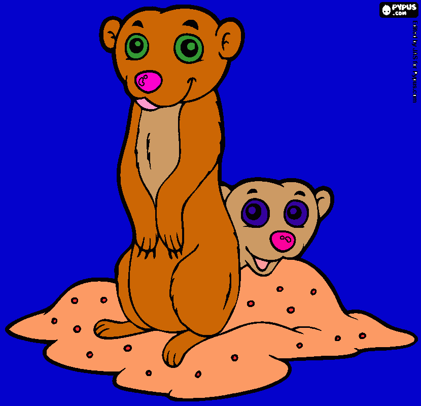 Omalovánka surikaty