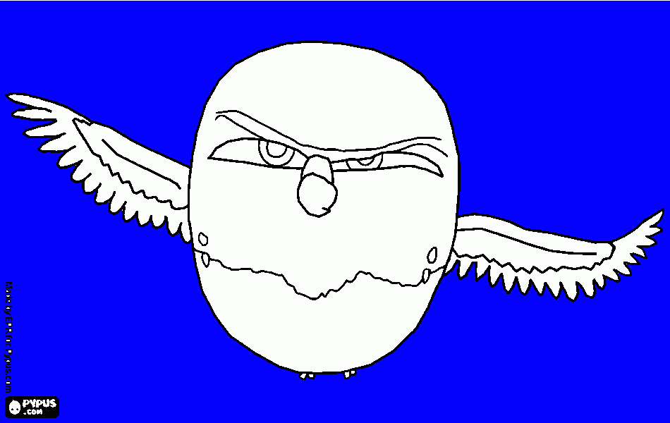 Omalovánka sweet pea