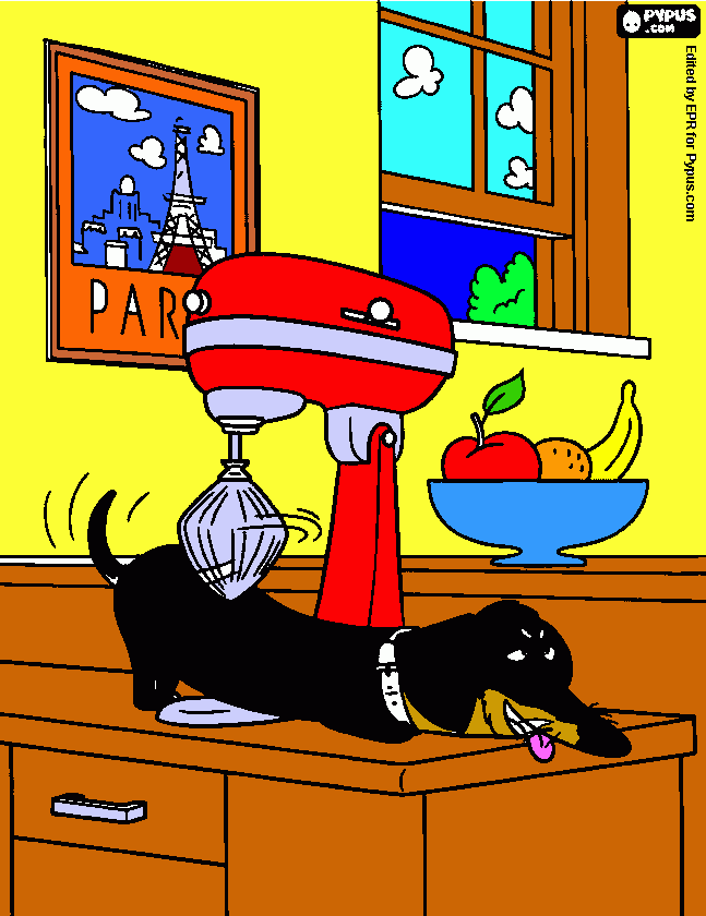 Omalovánka tajný život mazlíčku