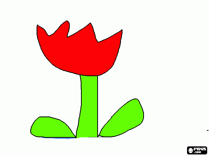 Omalovánka Tulipán