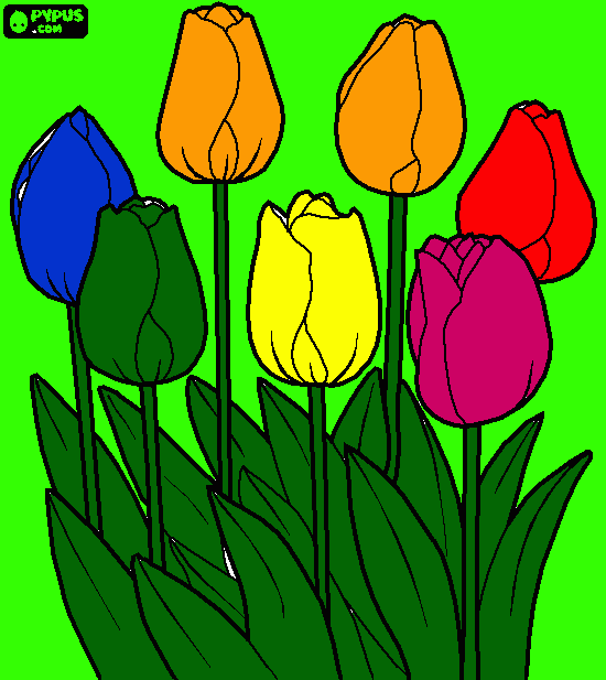 Omalovánka Tulipány pohádkové