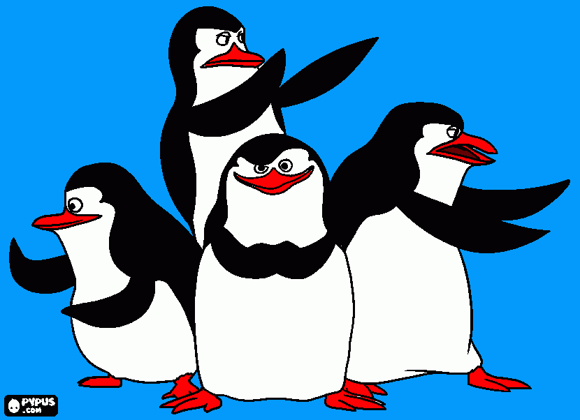 Omalovánka tučnáci z magagaskaru