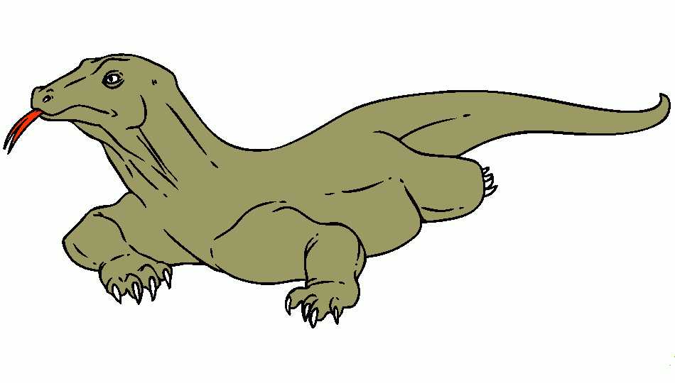 Omalovánka varan komodský