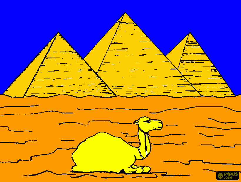 Omalovánka velbloud u pyramid z Egypta