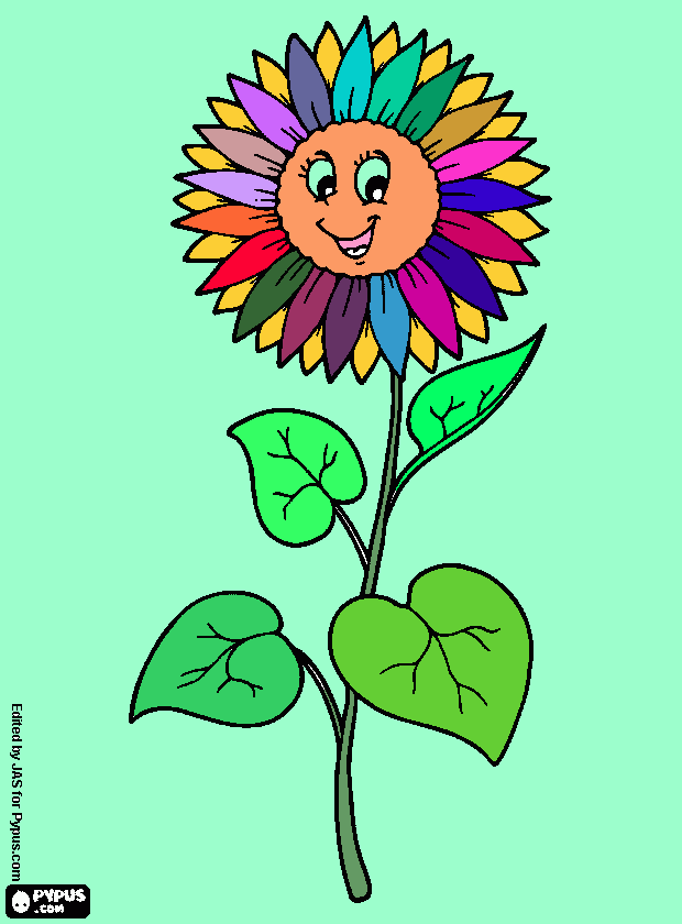 Omalovánka veselá slunečnice