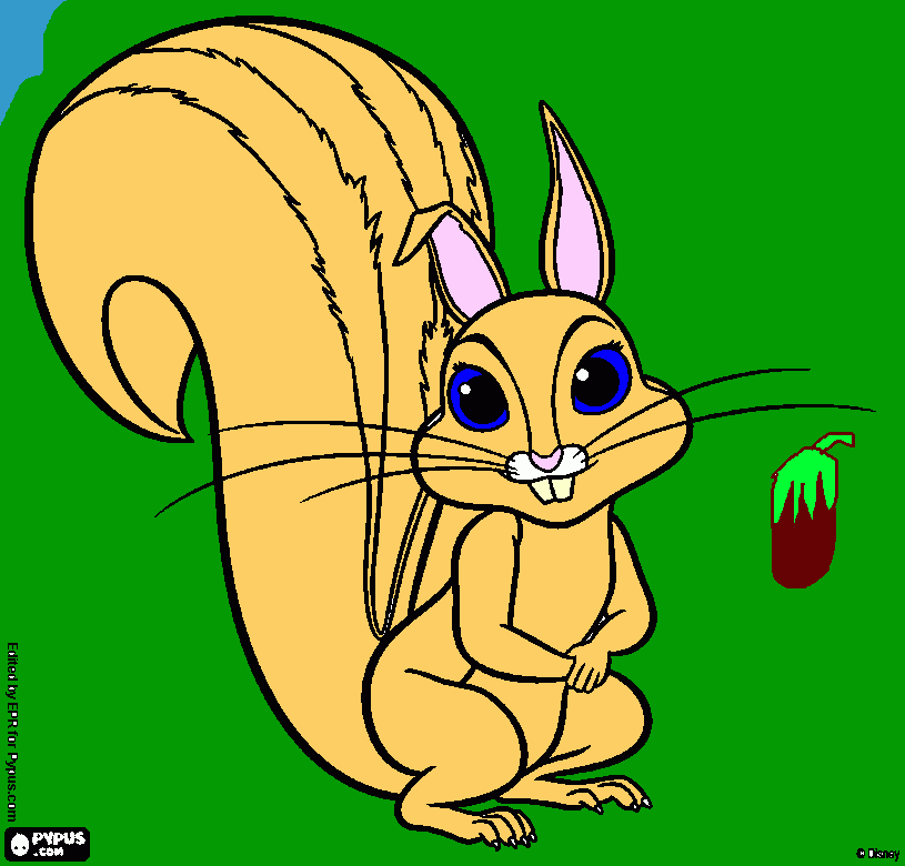 Omalovánka veverka ciperka