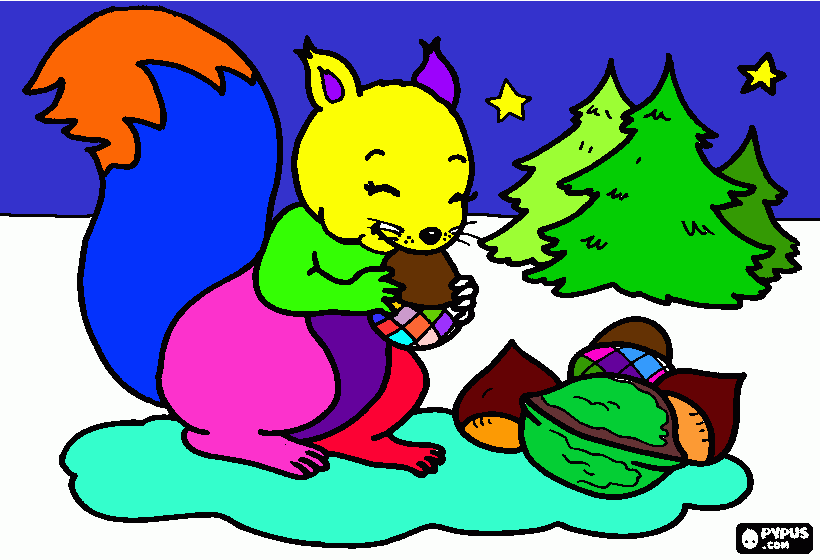 Omalovánka veverka jí ořechy