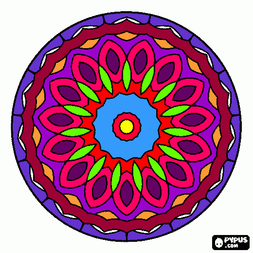 Omalovánka Viki rajza