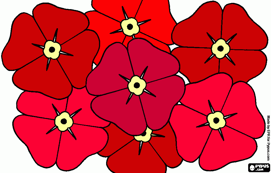 Omalovánka vlci mak