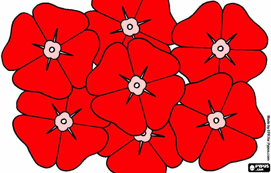 Omalovánka vlčí máky