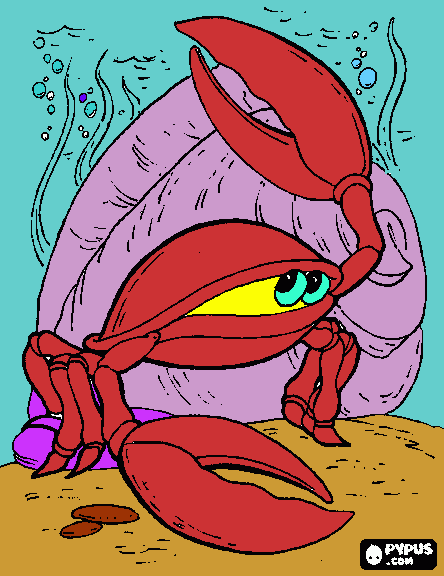 Omalovánka všhochuť krab