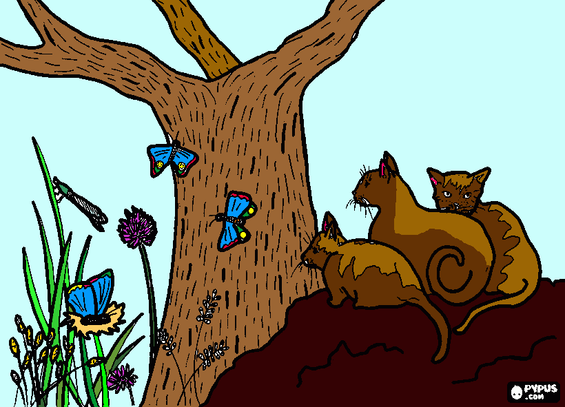 Omalovánka Wild kočky