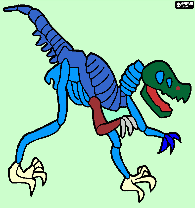 Omalovánka Zachová