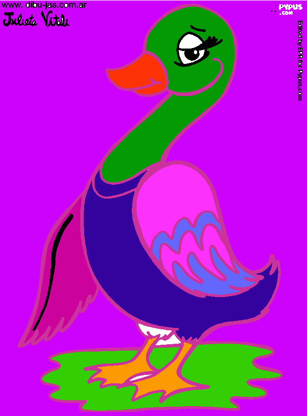 Omalovánka ZDENDOVA KACENKA