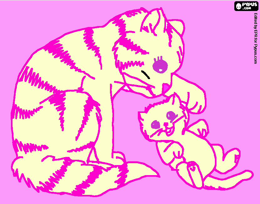 Omalovánka Zdendova kocicka s kotatkem